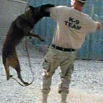 Nitro catch2