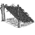 shelter