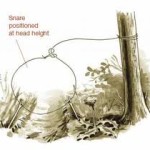 simple snare