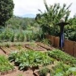 mini homestead