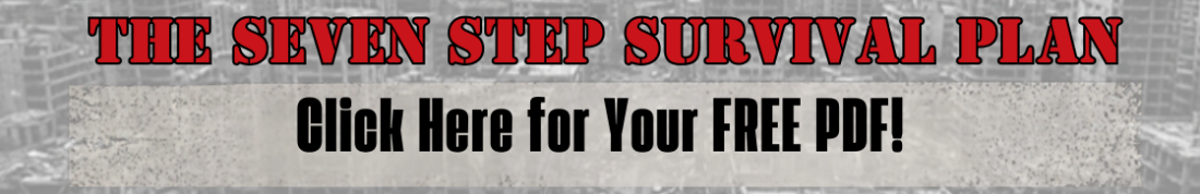 The Seven Step Survival Plan - Click Here for Your FREE PDF!
